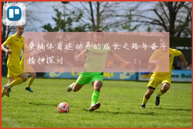 桑楠体育运动员的成长之路与奋斗精神探讨