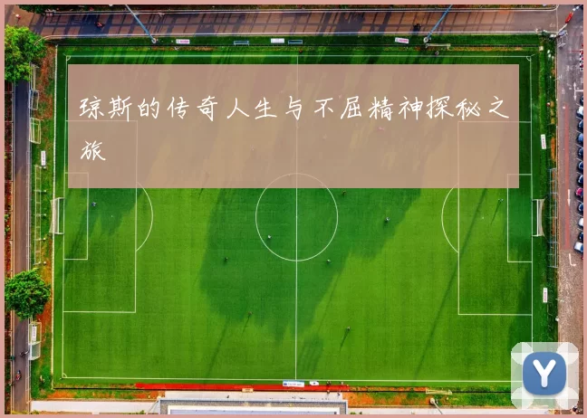 琼斯的传奇人生与不屈精神探秘之旅